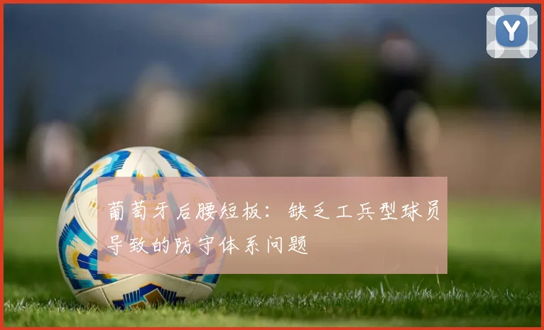 葡萄牙后腰短板：缺乏工兵型球员导致的防守体系问题
